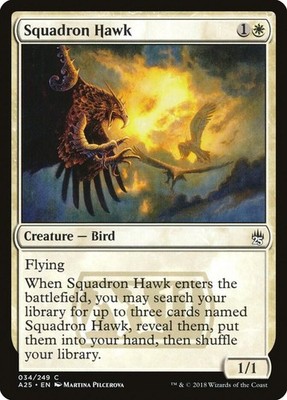 Squadron Hawk Normal A25 NM