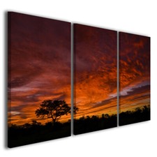 Quadri africani tramonti