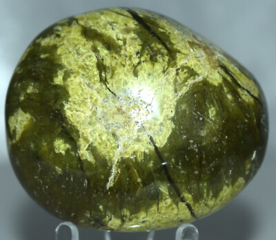 Green Opal Palm Stone  2.21''/121 Grams