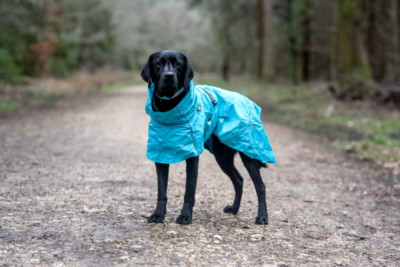 Rukka Pets Dog & Puppy Clothing - Hase Jacket