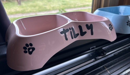 1 Green Left In Stick. Double Dog/Cat Feeding Bowl Personalised! - Picture 2 of 3
