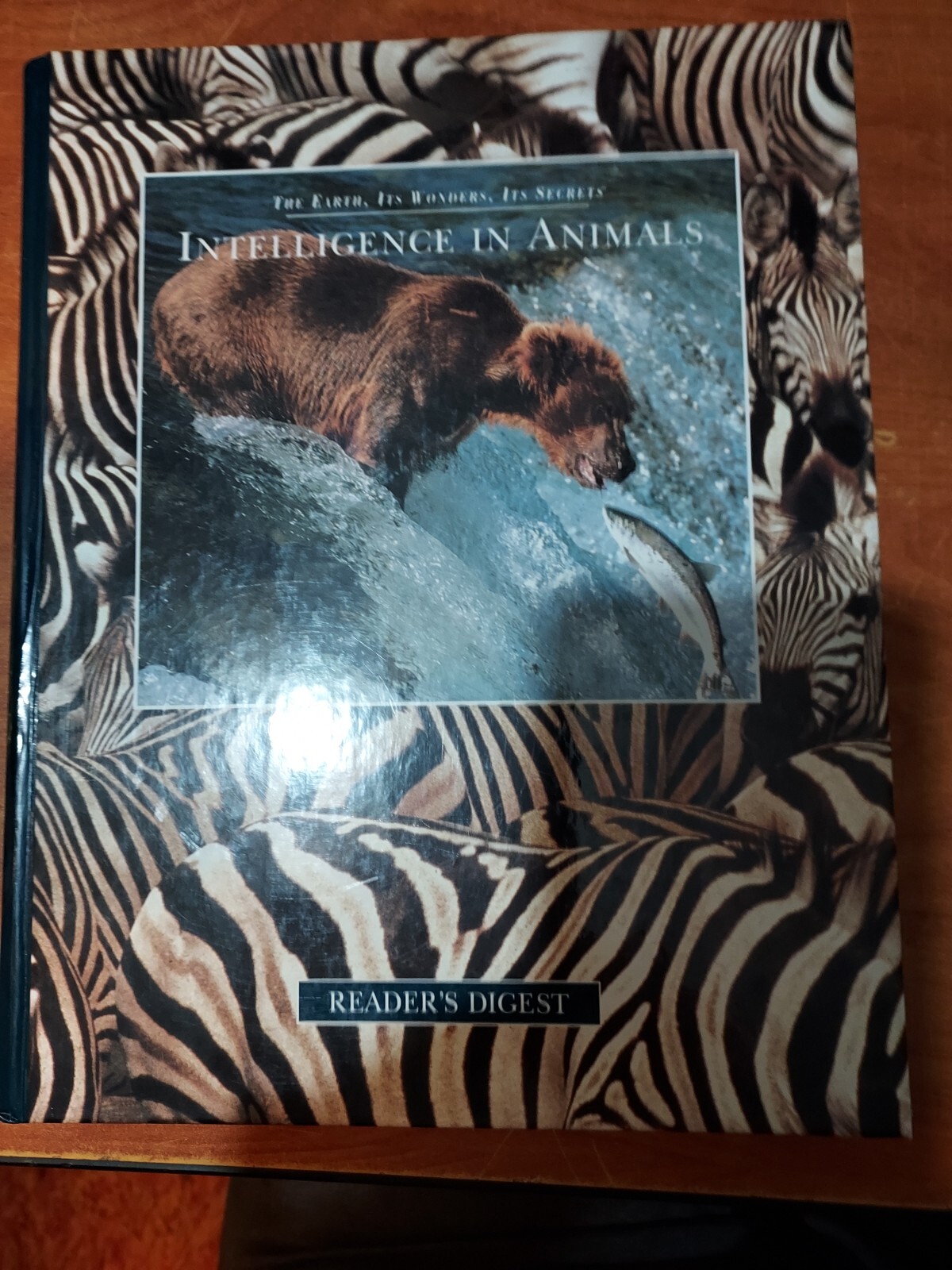 Intelligence in Animals by Reader's Digest Editors, PRINTED HARDCOVER