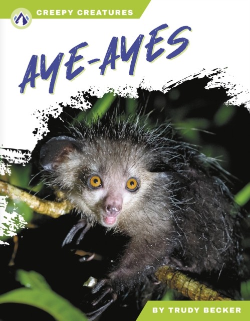 Ayeayes