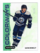 2024-25 Synergy Gavin Brindley Neon Green RC Colorways L-80 Blue Jackets 12/25