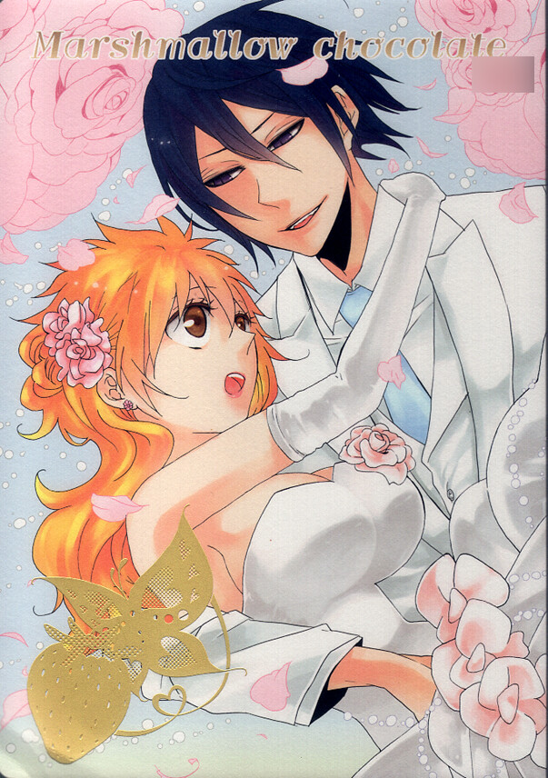 Bleach Ichigo And Rukia Baby