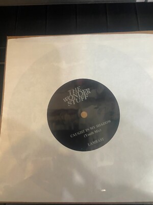 The Wonder Stuff, Caught In My Shadow, (7''Flexi-Disc 45 RPM) Promo (Youth Mix)