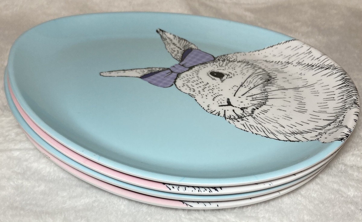 Cottontail Lane Bunny Melamine Blue Pink Easter Spring Rabbit Plates Set  of