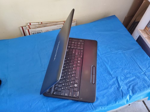 Toshiba Satellite C655D 15.6" Laptop Notebook AMD with Radeon 3GB 260GB HD - Picture 3 of 9