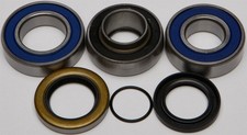 All Balls Chain Case Bearing and Seal Kits 14-1043