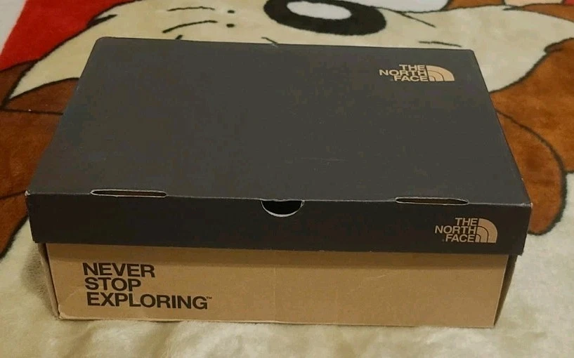 The North Face 女式 VECTIV Taraval 登山鞋 7.5 码薰衣草二手带盒 — 第 3/4 张图片