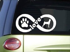 Adesivo Basenji Infinity *H406* 4 x 8,5 pollici vinile decalcomania cane