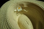 C&C fidora sun hat for women one size adjustable in rim ribbon — photo 8