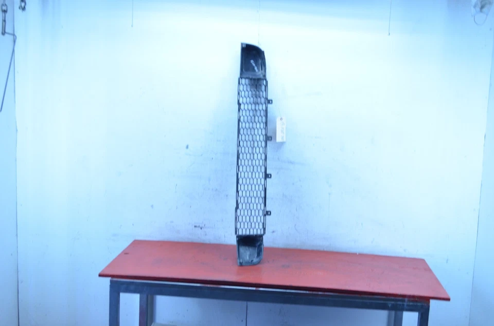 12-17 FIAT 500 PARRILLA INFERIOR DELANTERA OEM Foto 4 de 4