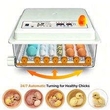 36 Eggs Auto Digital Incubator Temperature Co...