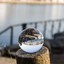 Vidrio-Transparente-Bola-de-Cristal-Curacion-Sphere-Fotografia-Foto-Props miniatura 3