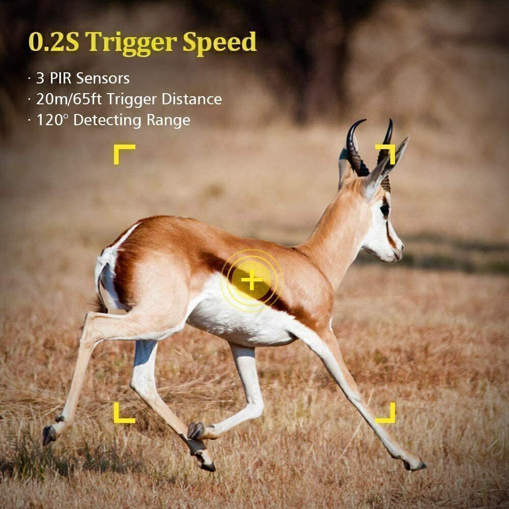 2 Pack Outdoor Game & Deer Trail Camera 36MP 2.7K No Glow Night Vision Cam 120°