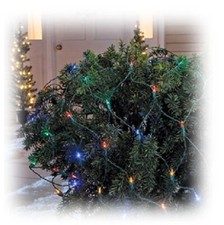 Sylvania 274753 4 x 6 ft. 100 Light Stay-Lit ...