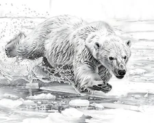 Polar Bear Sliding on Ice - 8x10 Matte Print Realistic Pencil Sketch