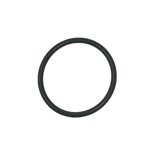 Intex O-Ring A Dichtung Dichtung für SF90110-1 Schwimmbad Sandfilterpumpe - Bild 1 von 2