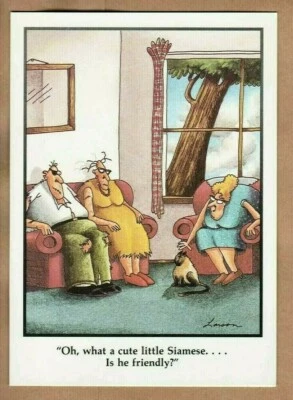 ANDREW AND MCMEEL THE FAR SIDE Vintage GREETING CARD Gary Larson RARE FUNNY