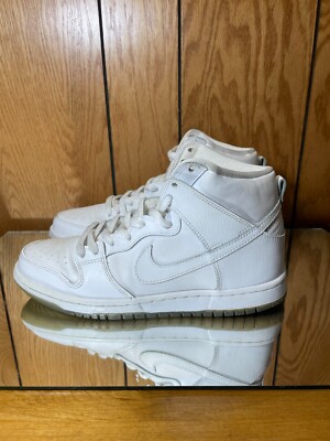 Nike SB Dunk High Pro White Ice 305050-113 s 7.5 | eBay