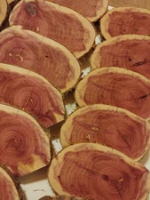 (5) Aromatic Red Cedar Ovals~ 4 1/2" x 3" x 1/2" Thick for Crafts, Coasters, Art