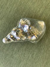 Clear Glass Sea Shell Paperweight Iridescent Beach House Decor Seashell
