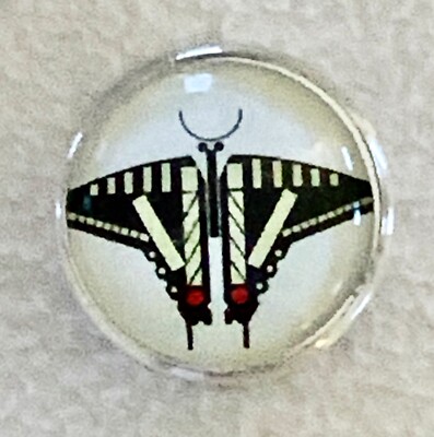 Sewing Button Insect Charley Harper Swallowtail Butterfly Insect 1