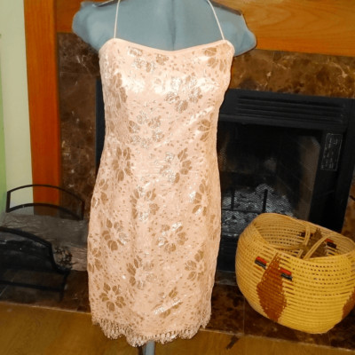 Rickie Freeman for T.J. nites pink dress
