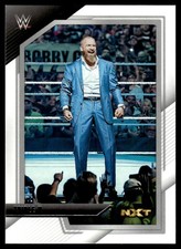 2022 Panini WWE NXT Triple H #100 11228
