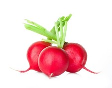 Crimson Giant Radish. 200 Seeds  NON-GMO  Heirloom  Organic. Free Shipping.