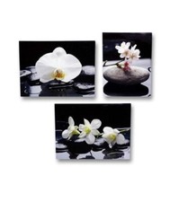 3 er Set Wandbild Orchidee 30 cm x 40 cm Blumen Bilder Feng Shui Steingarten