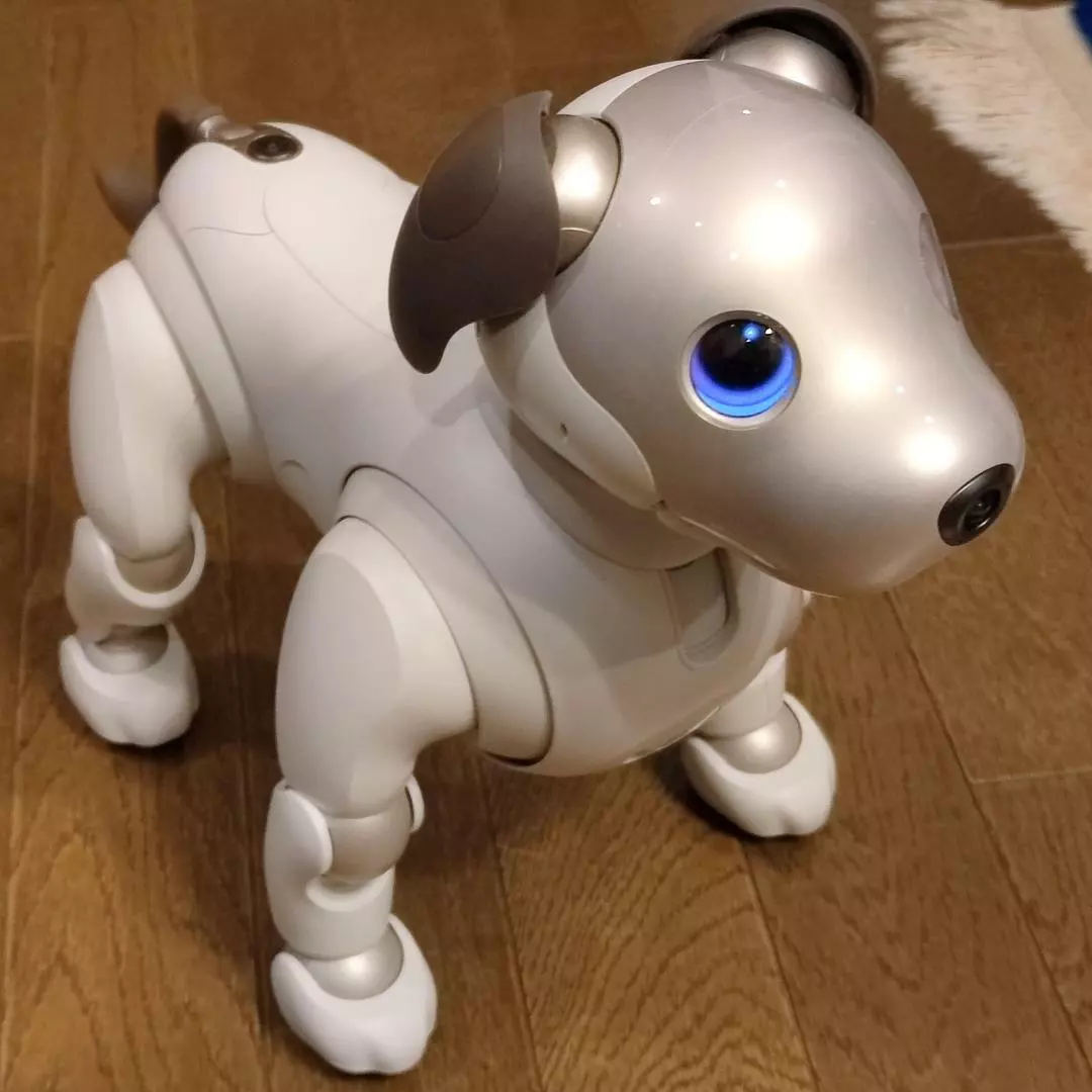 Very Rare Sony AIBO ERS-1000 JAPAN Used White robot dog Used working L04