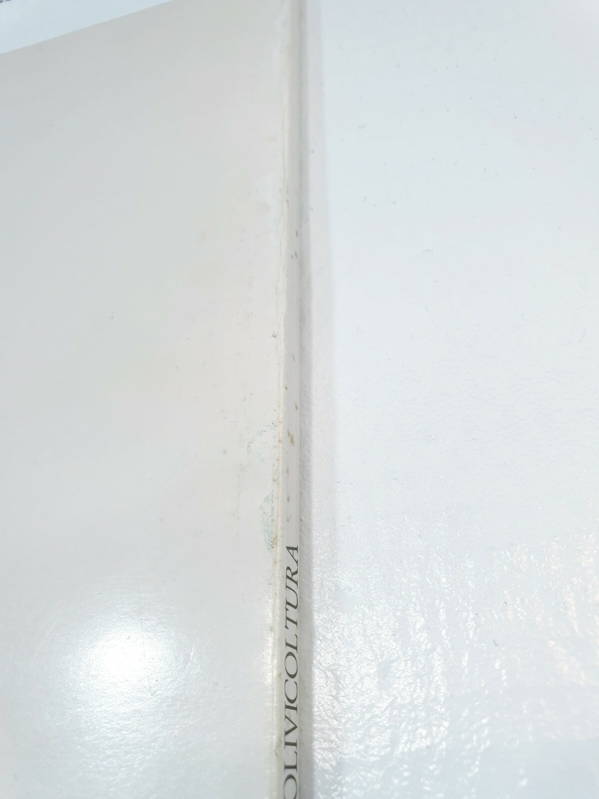 Foto 4 di 12