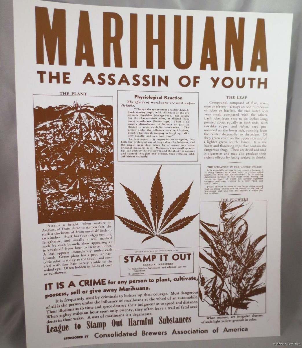 Marihuana Story 1950's Anti-weed Drugs Advertising Framed