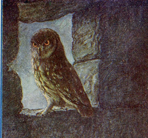 POSTER PRINT Spooky Barn Owls and Little Owls Halloween Decoration Rustic Decor - Picture 4 of 5