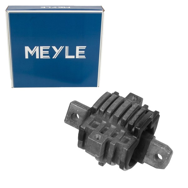 Meyle Motorlager FüR MERCEDES-BENZ C-KLASSE W202 S202 W210 S210 R129 Hinten-image
