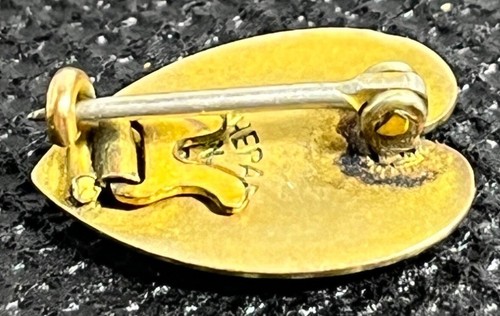 Antiguo Pin 1909 Escuela Secundaria YPS Oro Sólido Búho Esmalte Raro - Imagen 3 de 8