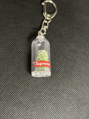 Supreme Kaktus Schlüsselanhänger Box Logo SS18 - Bild 6 von 6