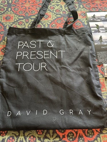 David Gray Past & Present Tour VIP Merchandise Bundle ,Bag Lanyard Badges Poster - Imagen 4 de 6