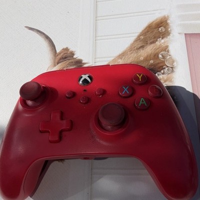 PowerA Nano Enhanced Wired Controller for Nintendo Switch Turbo Red 10ft