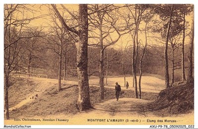 AXU-P9-0705-78 - MONTFORT-L'AMOURY - Etang des Morues
