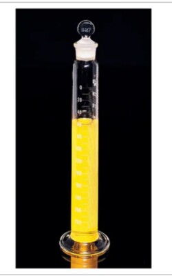 (2 PACK) FISHERBRAND Glass Class B 250mL Graduated Cylinder Mixing w/ Stopper