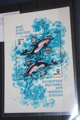 Lot 19 Block Kleinbogen UdSSR Russland Fische Meeresleben Delfin gestempelt