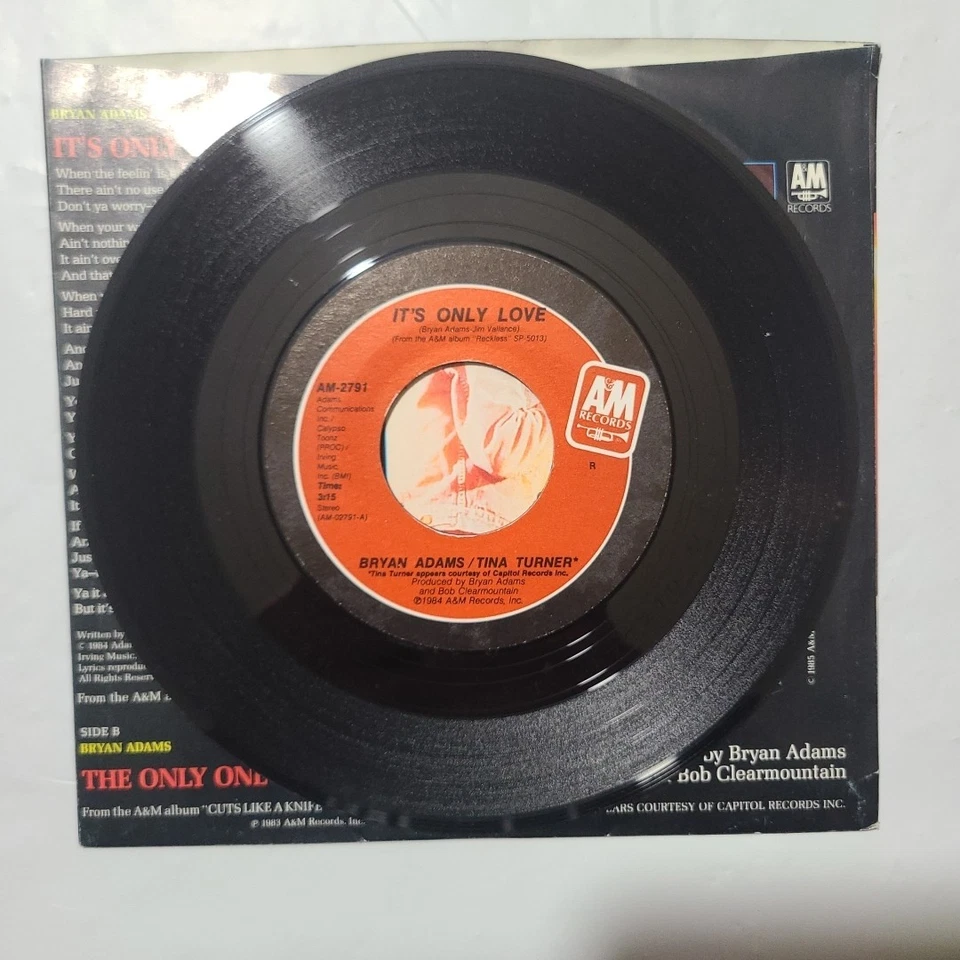 Bryan Adams & Tina Turner ~ It's Only Love/ The Only Love ~ A&M PS 45 RPM Record Foto 3 de 4