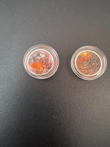 Lot of 2 – 1g .999 Fine Silver Colorized Art Rounds Samurai & Scrooge McDuck