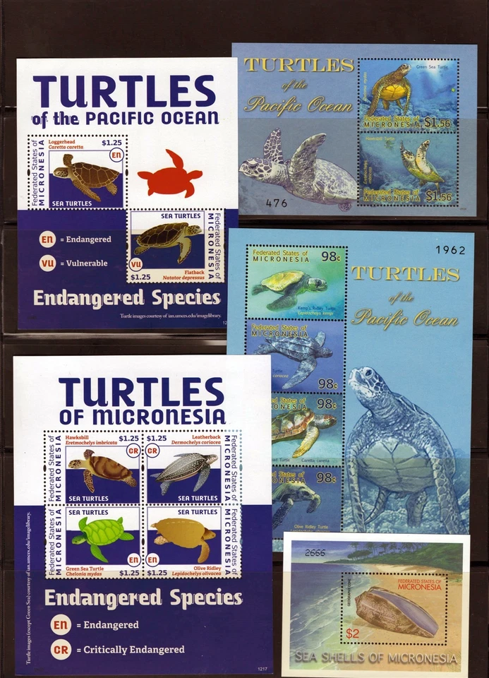 Micronesia Marine Life, Seashells, Sea Turtles MNH Collection ZAYIX 0825L1695 - Image 3 of 4