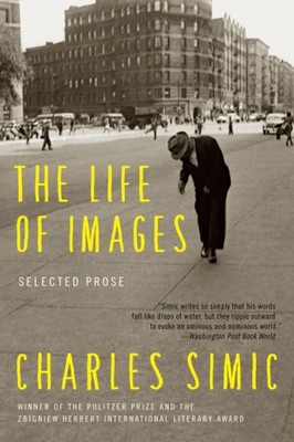 The Life of Images: Selected Prose   Essays on Philosophy, Art, and Politi...