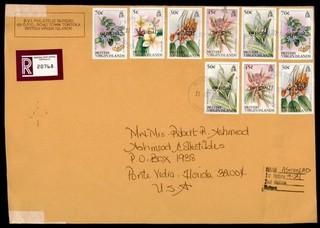 DR WHO 2006 BRITISH VIRGIN ISLANDS OFFICIAL OVPT REGISTERED TO USA LR68343