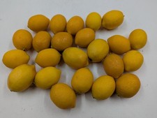 Lot of 23 Lemons Citrus Fruit Faux Fake Artificial Home D cor Realistic Staging